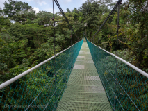 Arenal hanging bridge