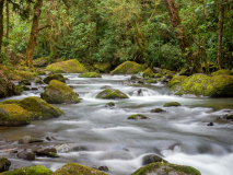 Stream