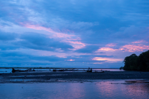 Costa Rica | Tarcoles river and mangrove swamp