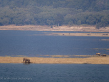 Ramganga reservoir