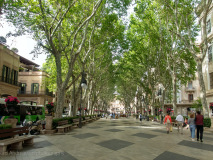 Palma de Mallorca
