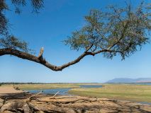 Middag över Zambezi