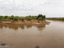 Mara River