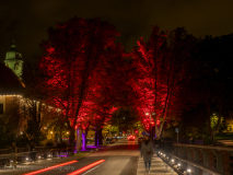 Metropolis by light