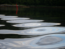 Reflektioner