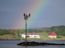 Havsörn