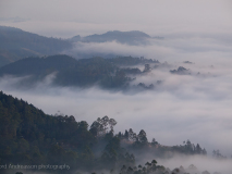 Thangamale Sanctuary
