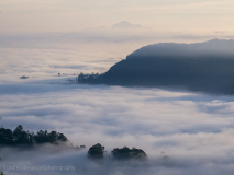 Thangamale Sanctuary