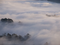 Thangamale Sanctuary