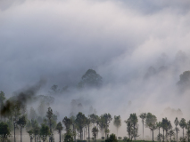 Thangamale Sanctuary
