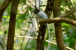 Sri Lanka | Wilpattu NP