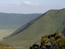 Ngonrongoro crater rim