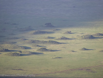 Ngonrongoro crater