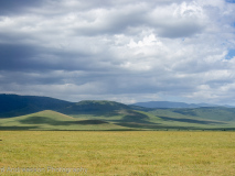 Ngonrongoro crater
