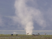 Heat haze