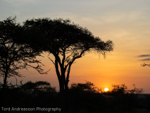 Sunrise