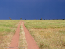 Road to...?