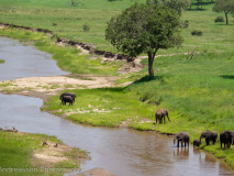 Tarangire River
