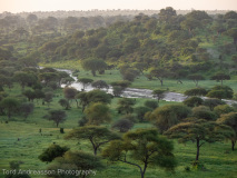 Tarangire River