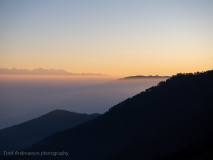 Dawn